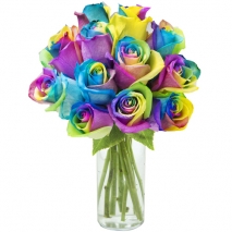 send 12 rainbow roses in glass vase to philippines