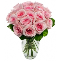 18 Light Pink Roses Send To Philippines