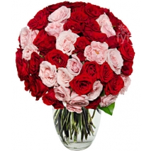 50 Blooms of Pink and Red Roses Send To Philippines