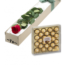 Single Red Roses Box with 24pcs Ferrero Chocolate Delivery To Philippines