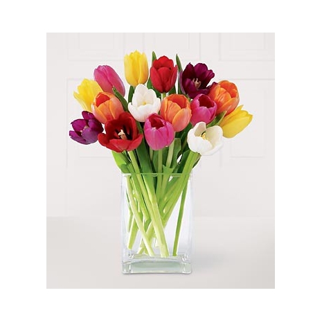 one dozen tulips vase in philippines